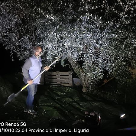 Agriturismo Monaci Templari Себорга Экстерьер фото
