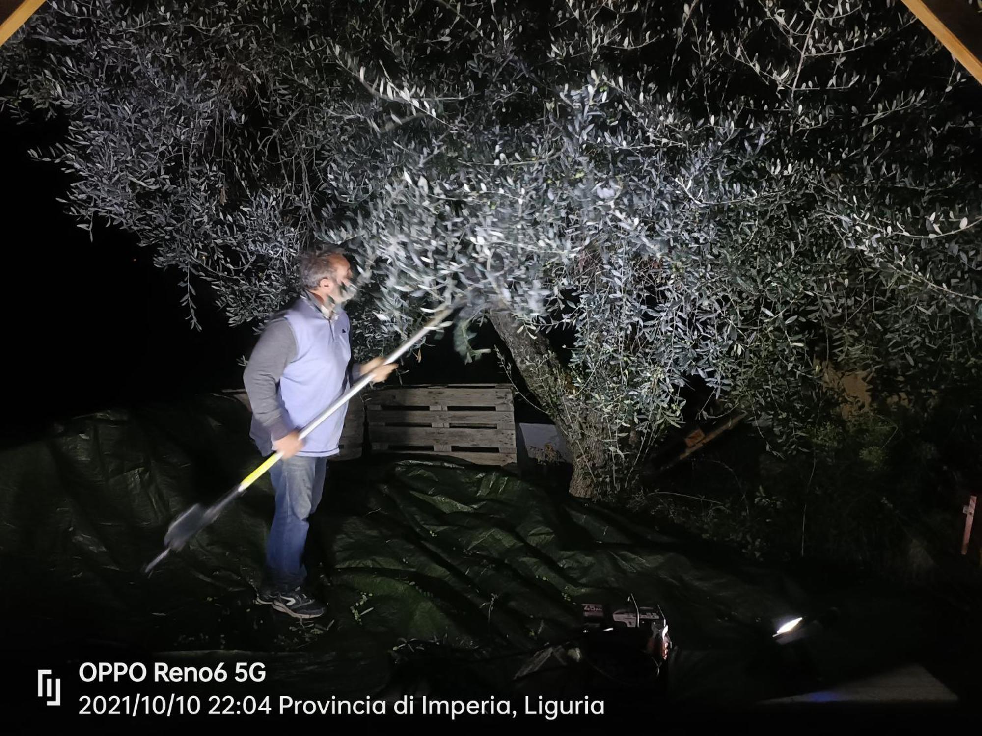 Agriturismo Monaci Templari Себорга Экстерьер фото