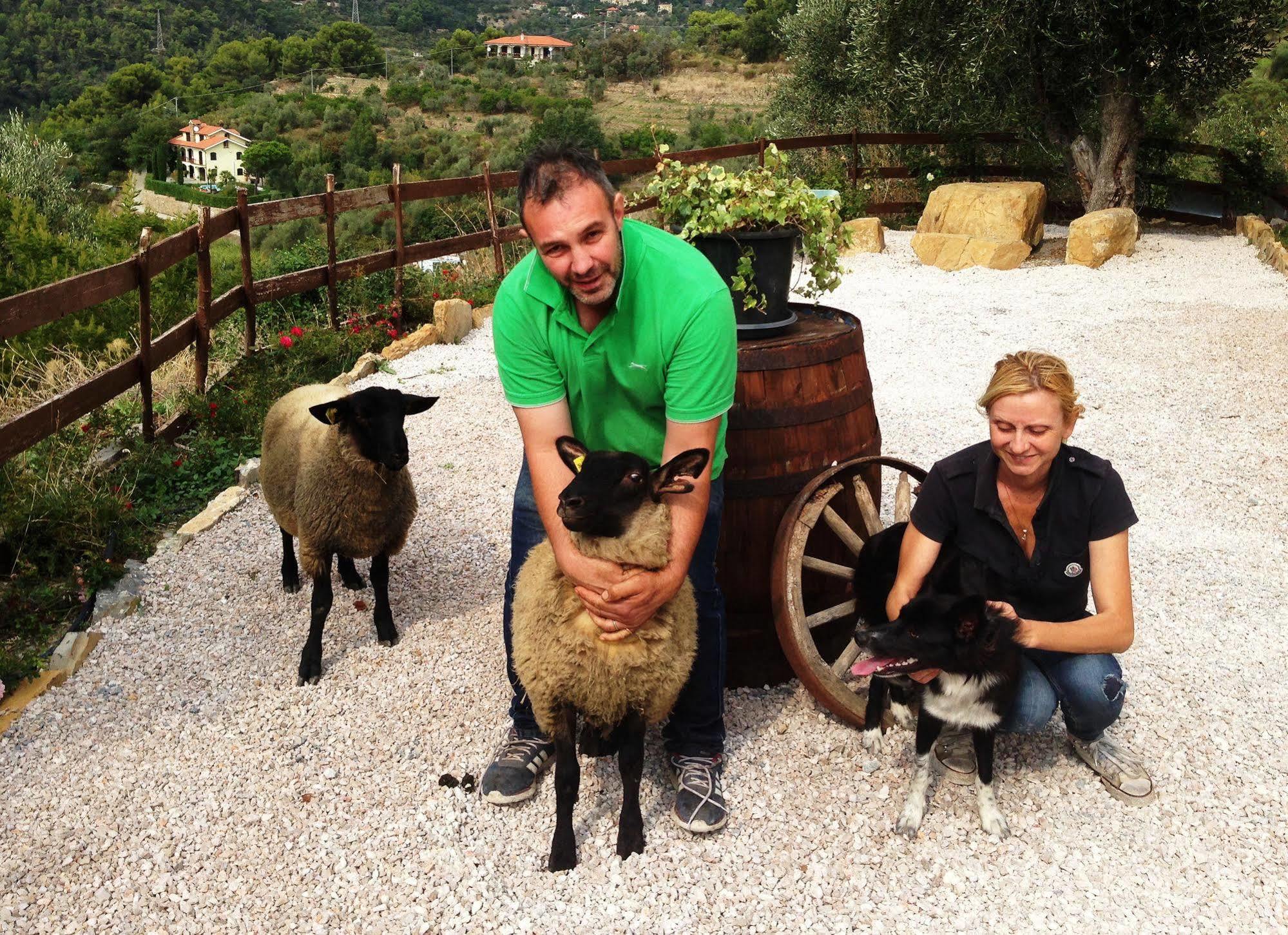 Agriturismo Monaci Templari Себорга Экстерьер фото